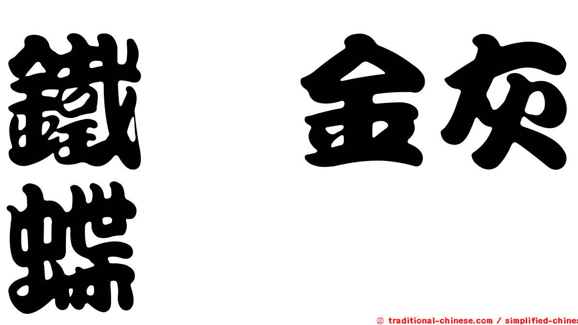鐵椆金灰蝶
