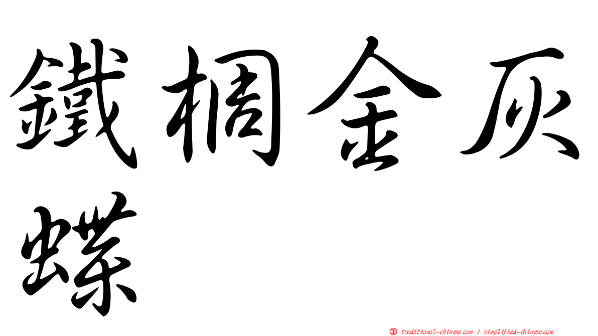 鐵椆金灰蝶