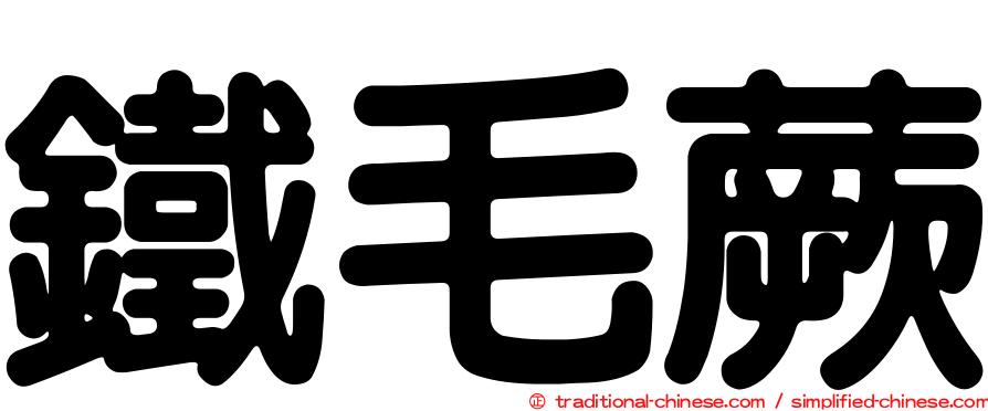 鐵毛蕨
