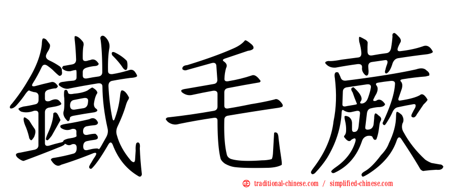 鐵毛蕨