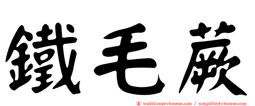 鐵毛蕨