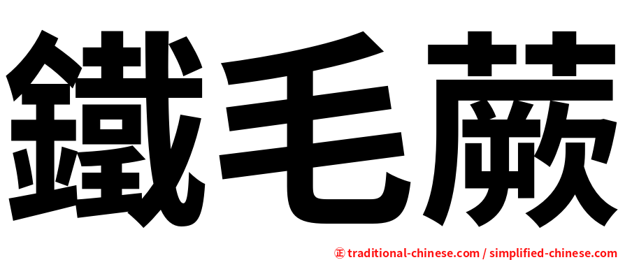 鐵毛蕨