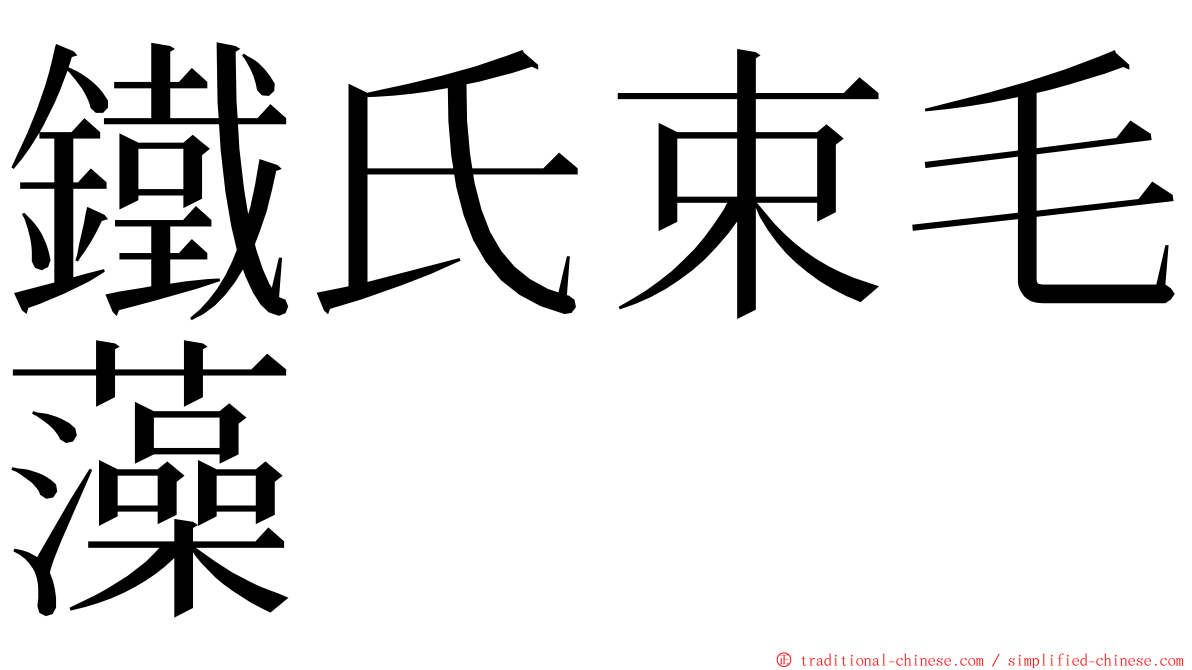 鐵氏束毛藻 ming font