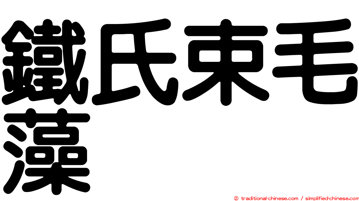 鐵氏束毛藻