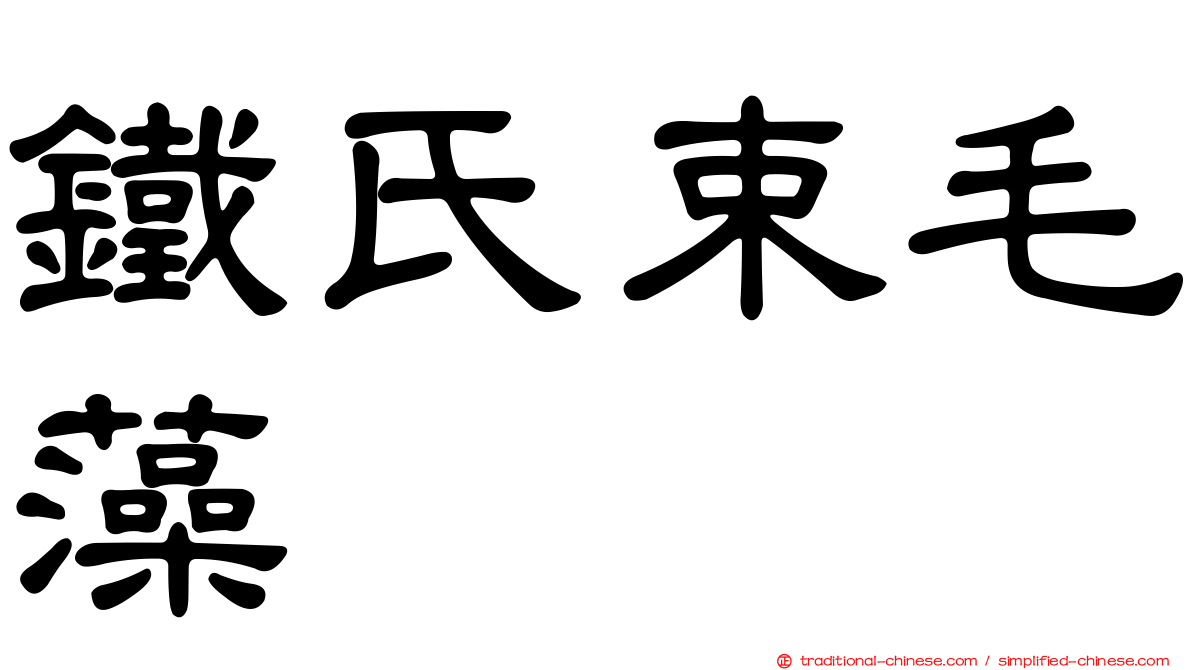 鐵氏束毛藻