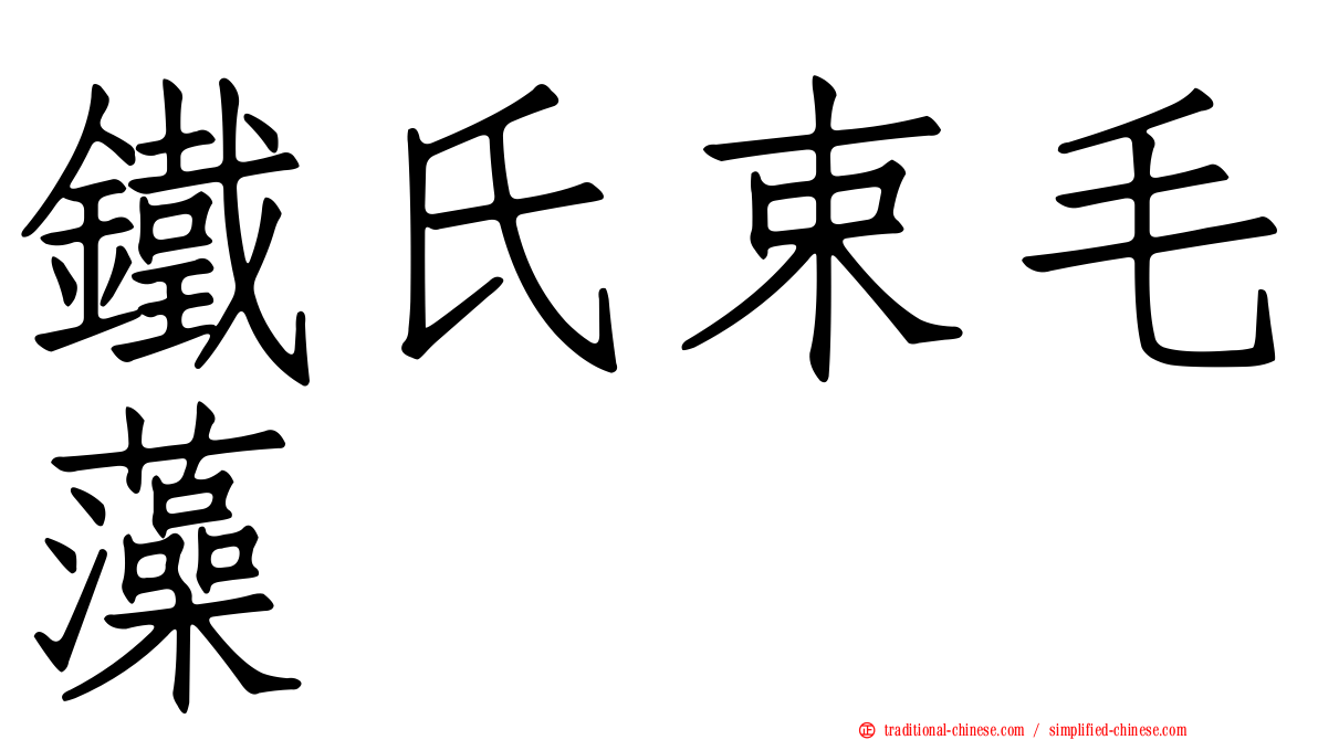 鐵氏束毛藻