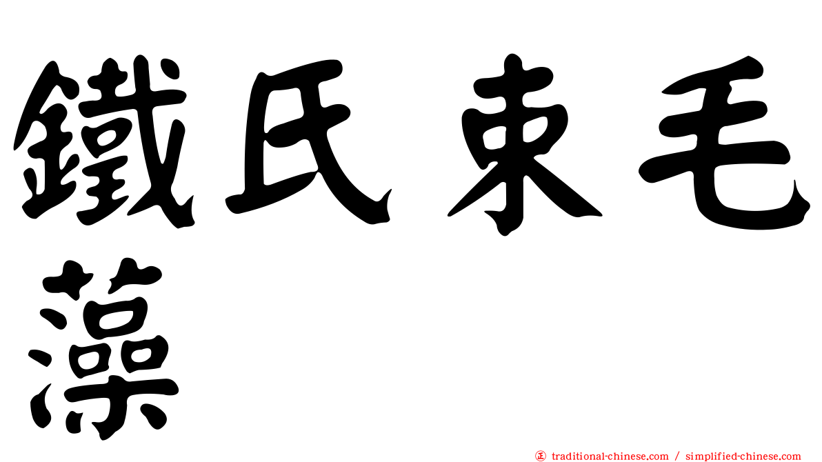 鐵氏束毛藻