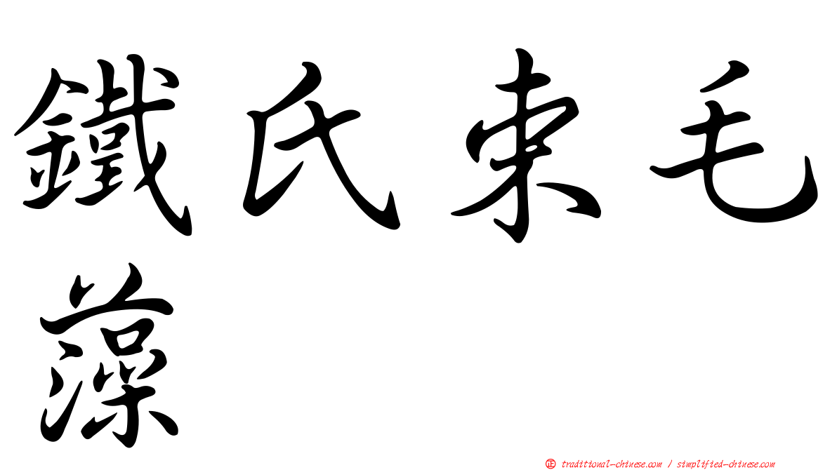 鐵氏束毛藻