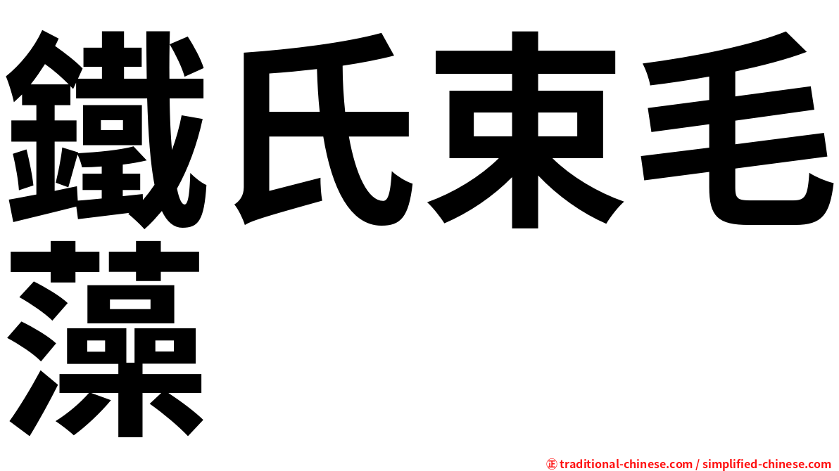 鐵氏束毛藻