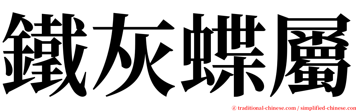 鐵灰蝶屬 serif font