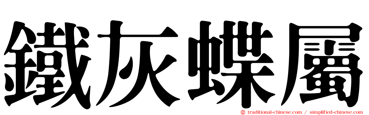 鐵灰蝶屬