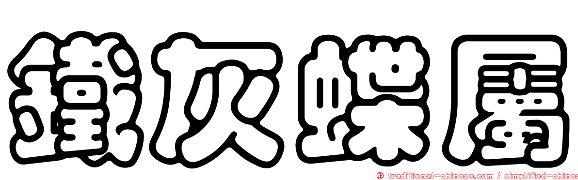 鐵灰蝶屬