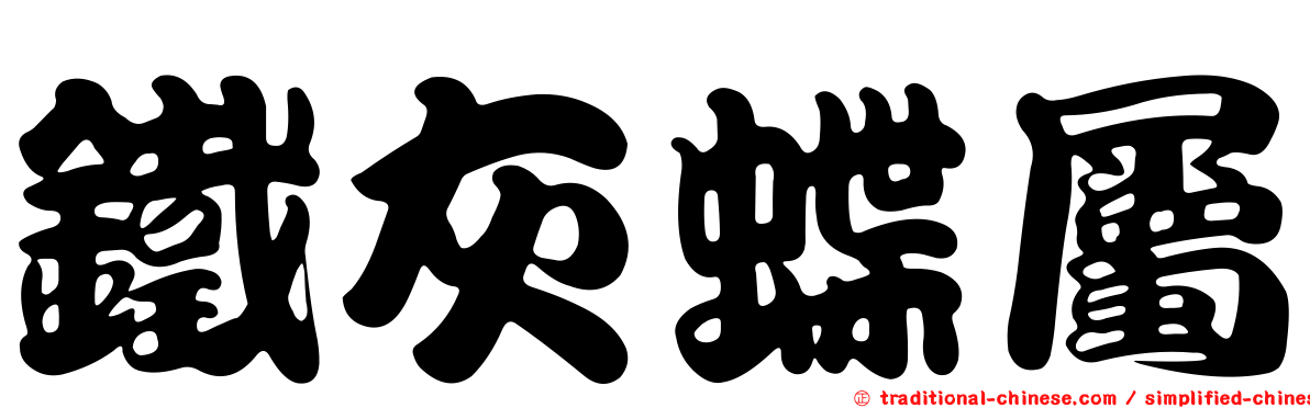 鐵灰蝶屬