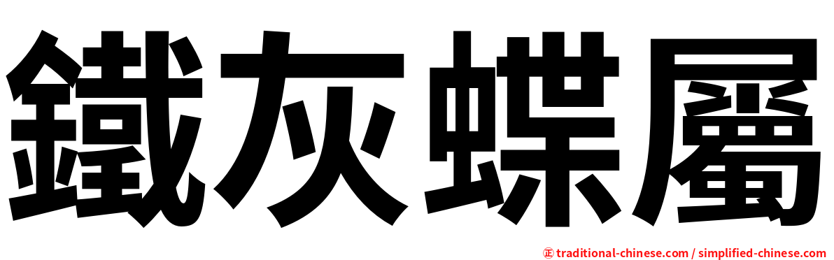 鐵灰蝶屬