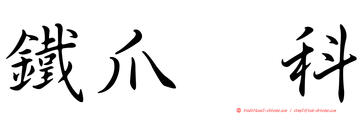 鐵爪鵐科