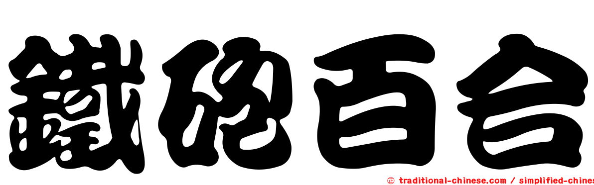 鐵砲百合