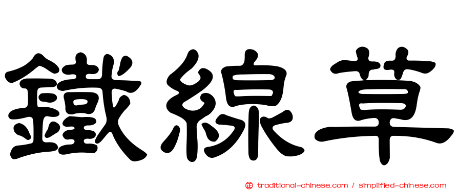 鐵線草