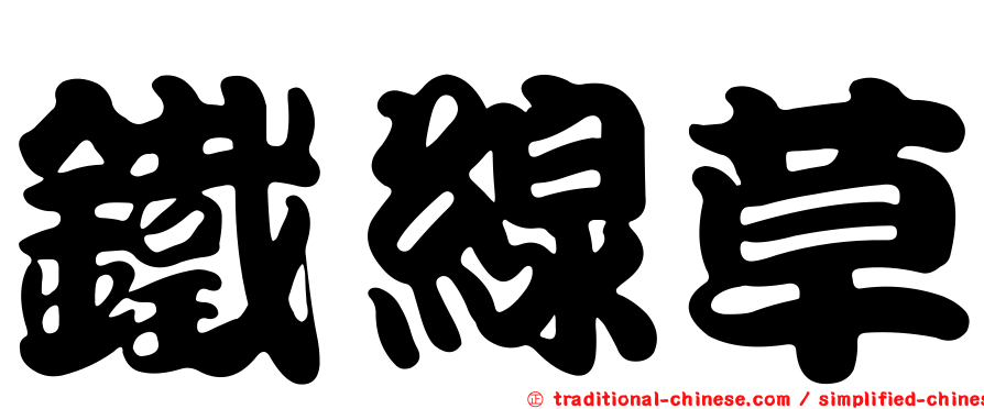 鐵線草