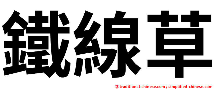 鐵線草