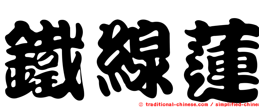 鐵線蓮