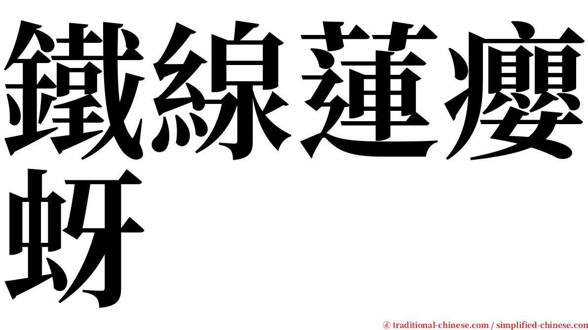 鐵線蓮癭蚜 serif font