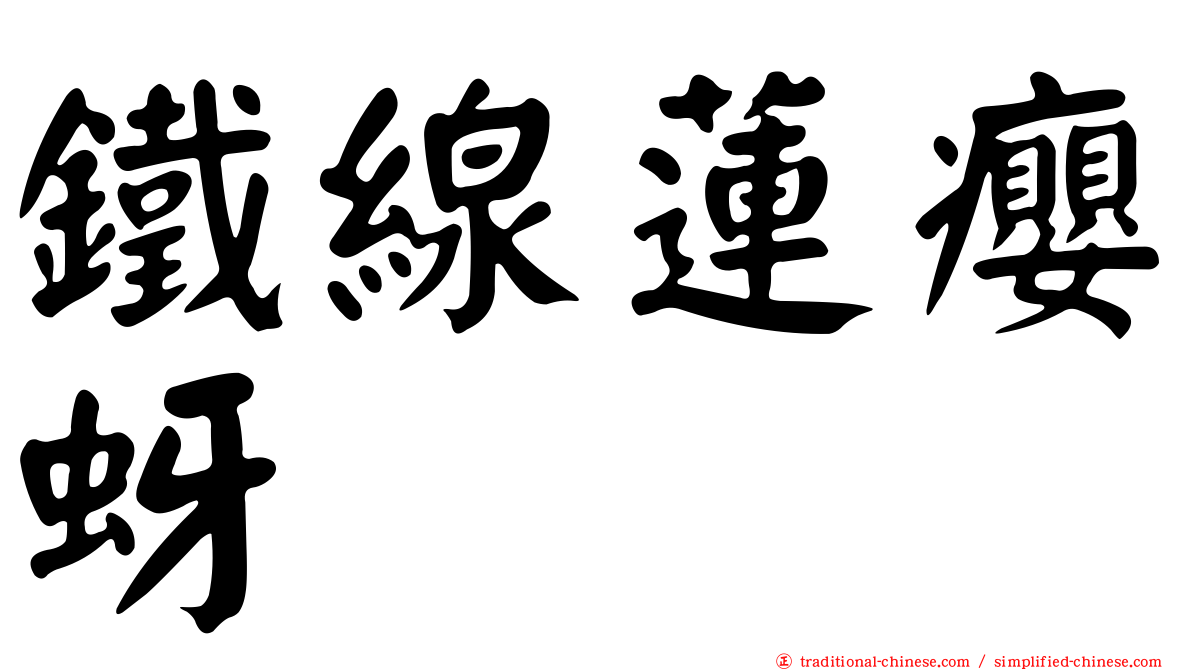 鐵線蓮癭蚜