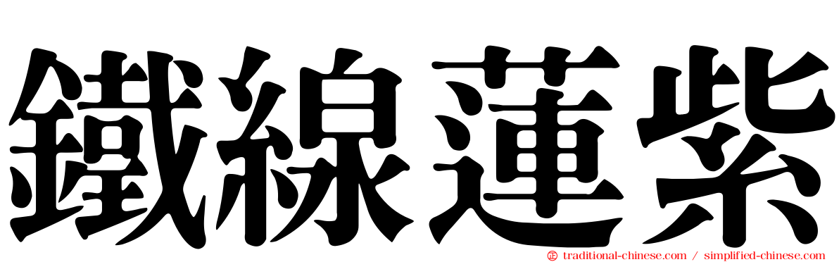鐵線蓮紫