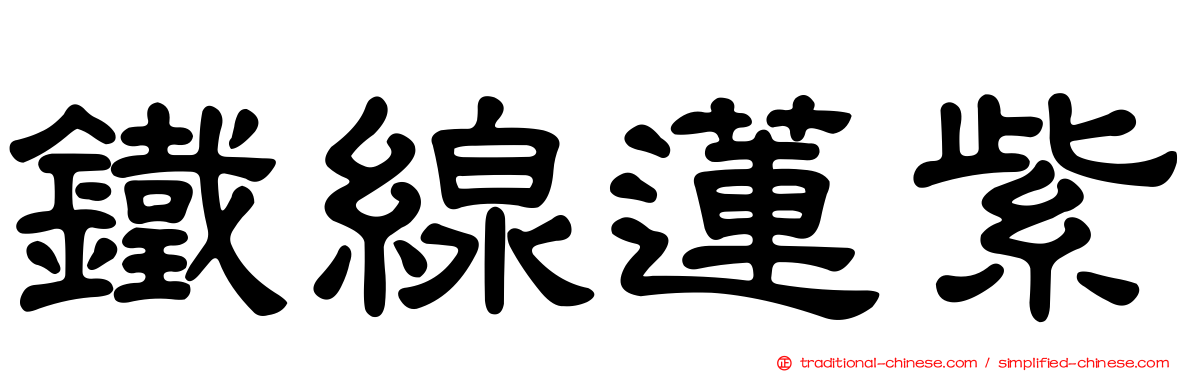 鐵線蓮紫