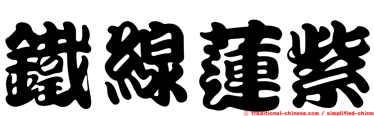 鐵線蓮紫