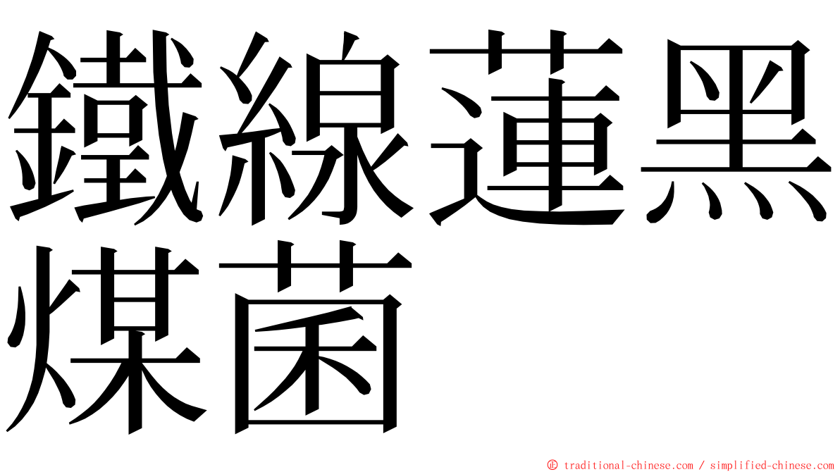 鐵線蓮黑煤菌 ming font