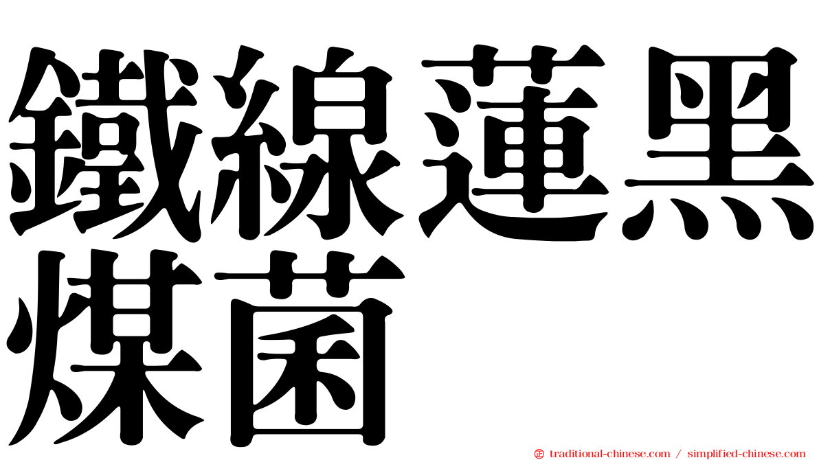 鐵線蓮黑煤菌