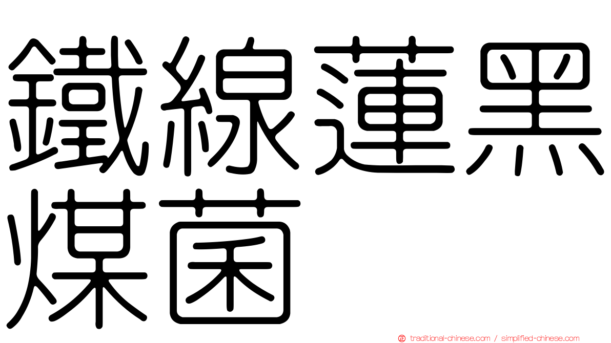 鐵線蓮黑煤菌