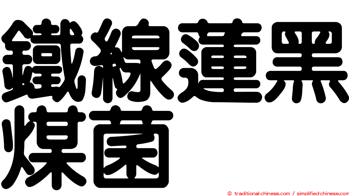 鐵線蓮黑煤菌