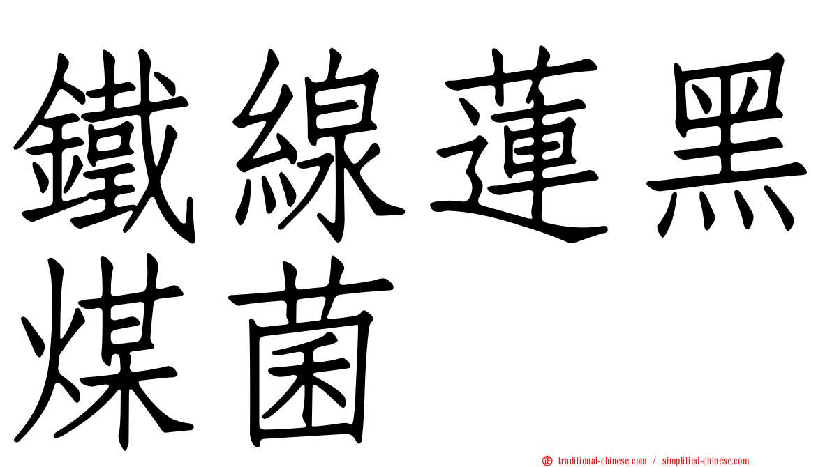 鐵線蓮黑煤菌