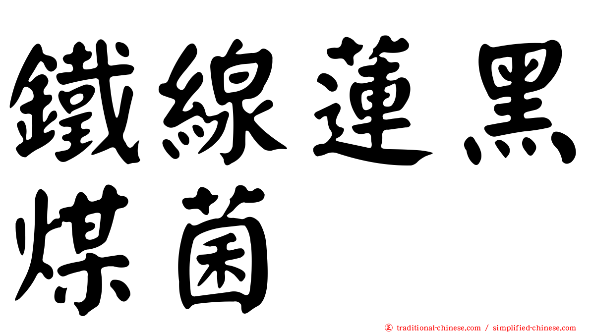 鐵線蓮黑煤菌
