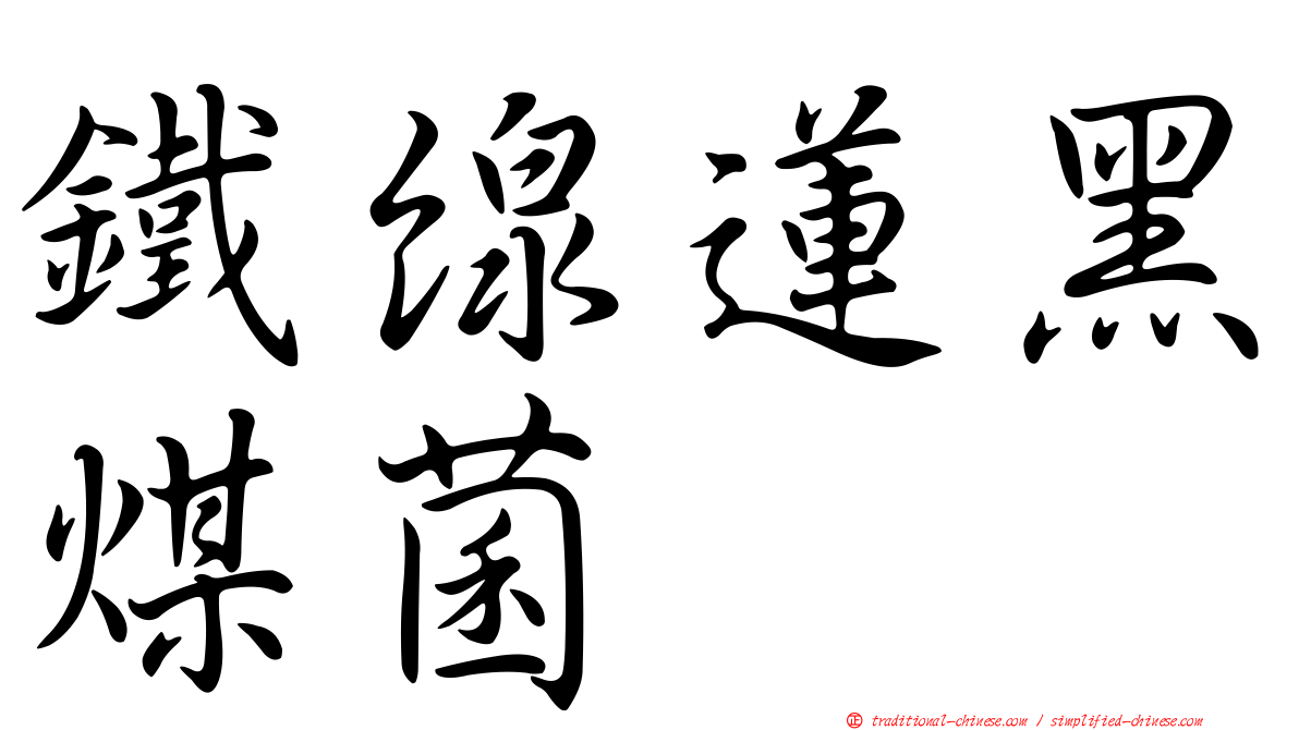 鐵線蓮黑煤菌