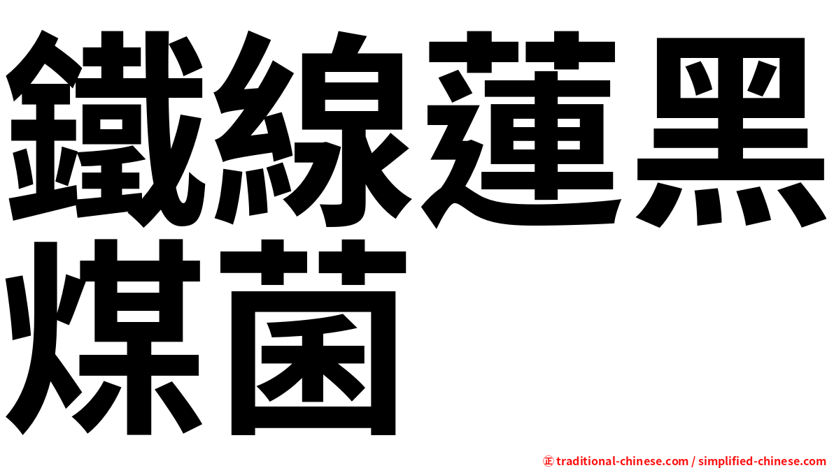 鐵線蓮黑煤菌