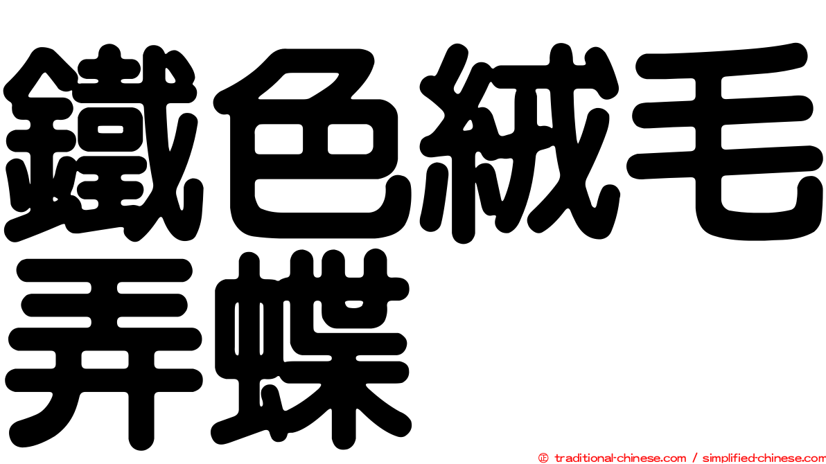 鐵色絨毛弄蝶