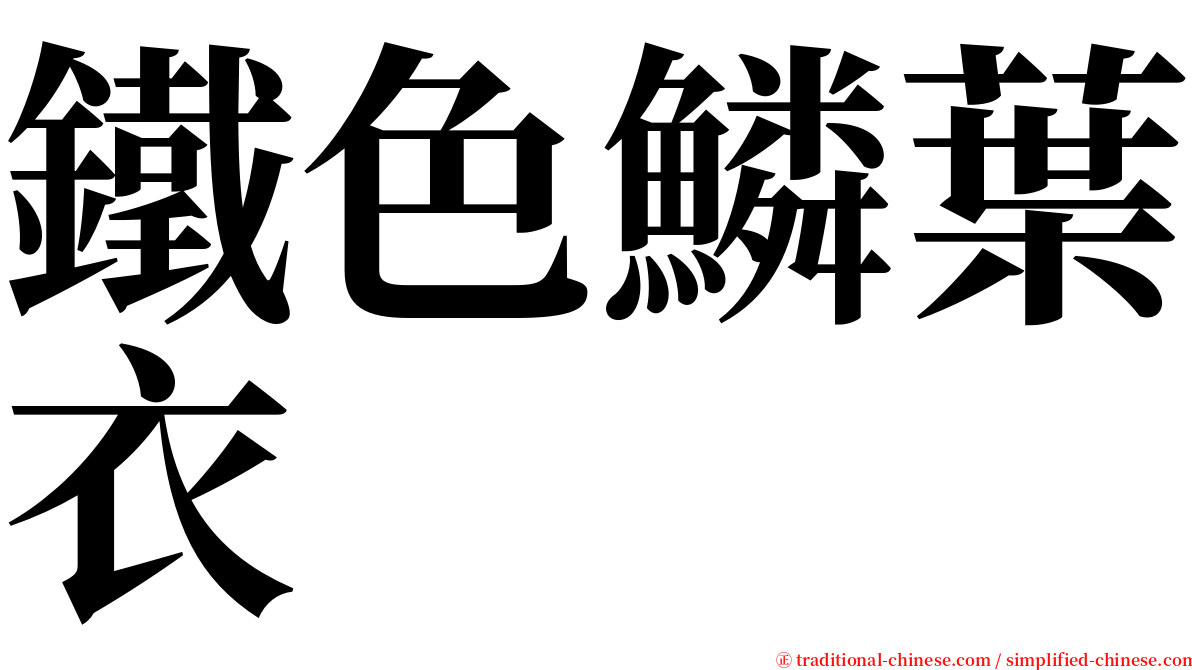 鐵色鱗葉衣 serif font