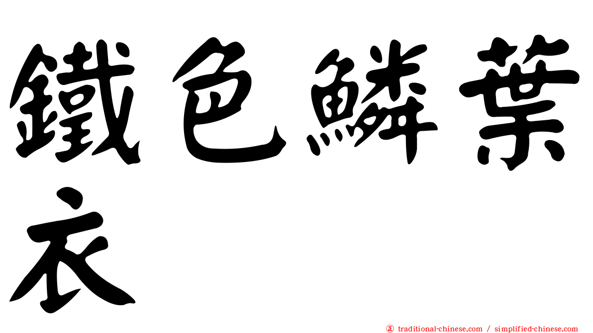 鐵色鱗葉衣