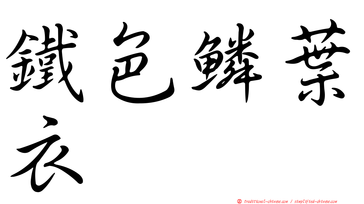 鐵色鱗葉衣