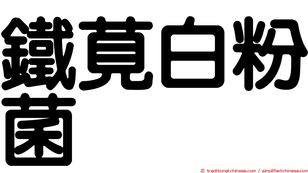 鐵莧白粉菌