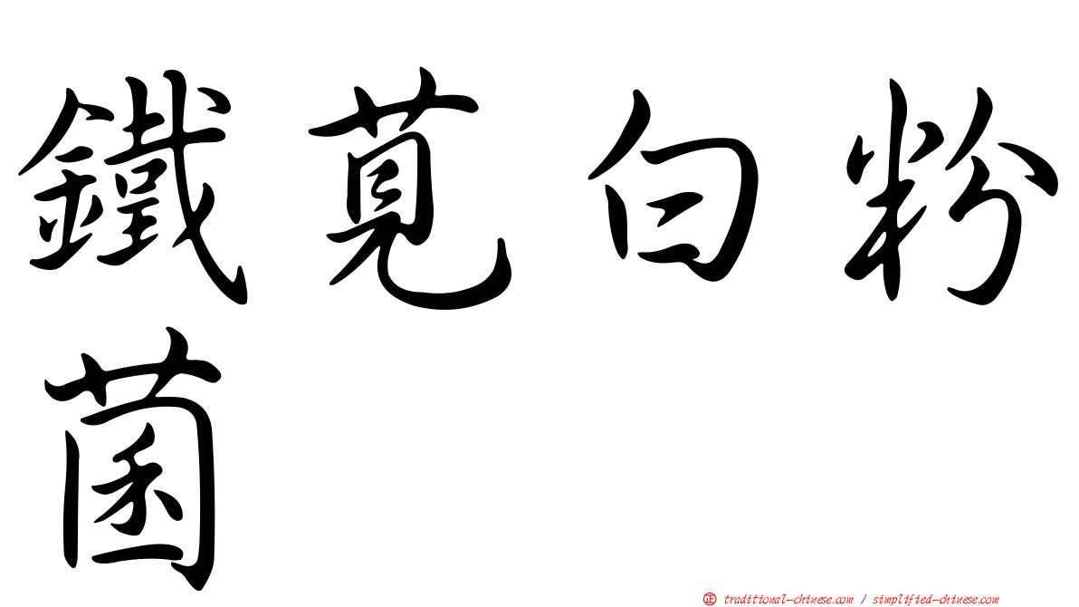 鐵莧白粉菌