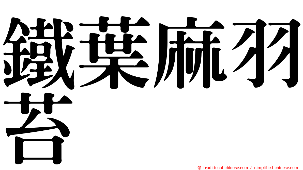 鐵葉麻羽苔