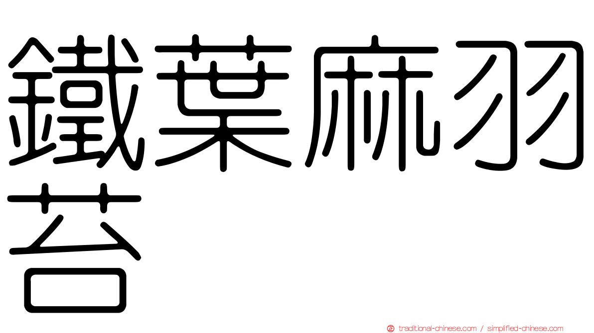 鐵葉麻羽苔