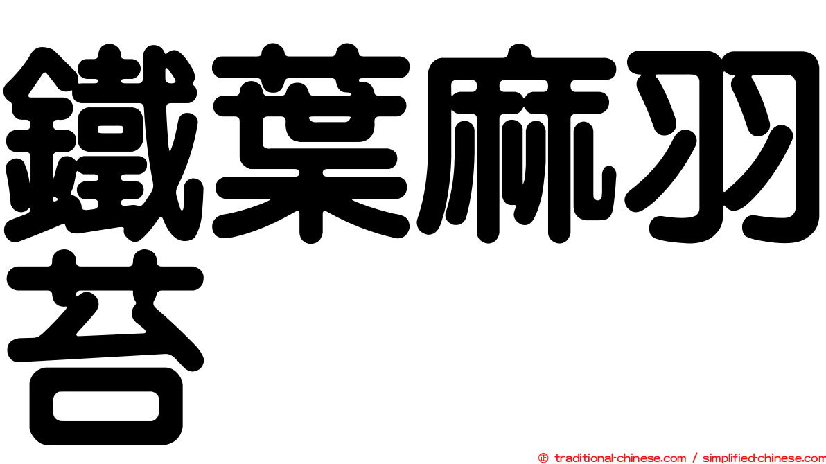 鐵葉麻羽苔