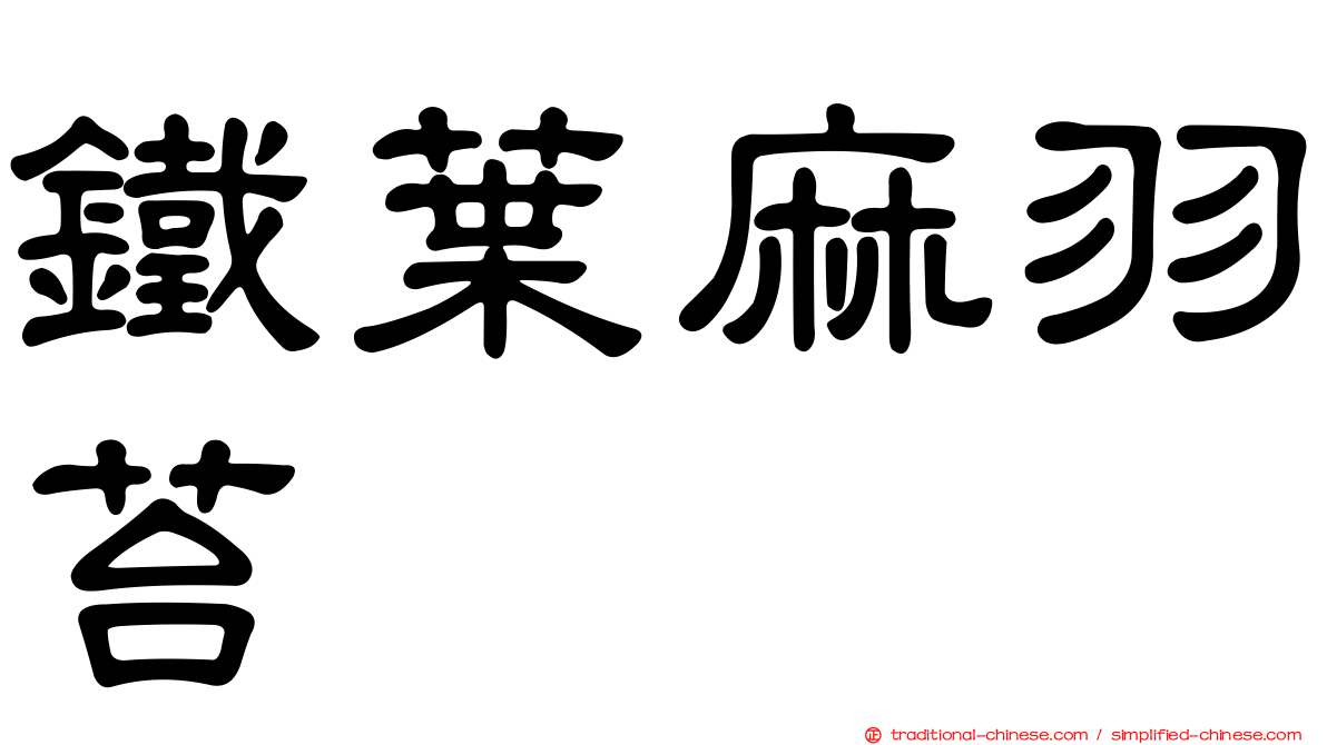鐵葉麻羽苔