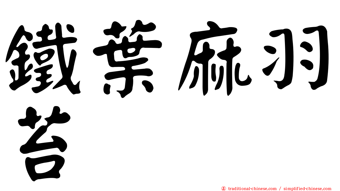 鐵葉麻羽苔