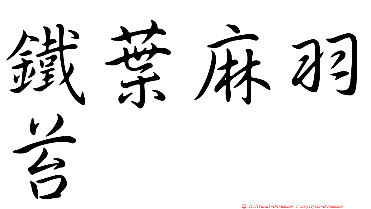 鐵葉麻羽苔