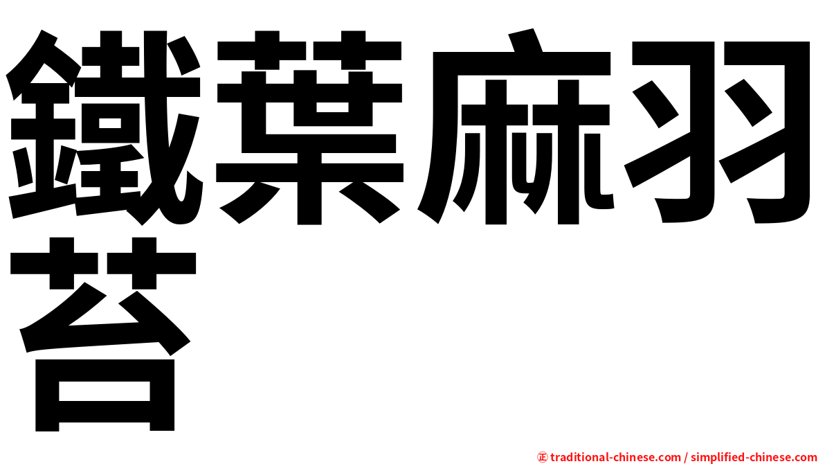 鐵葉麻羽苔